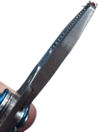 removing a tick (with head intact)