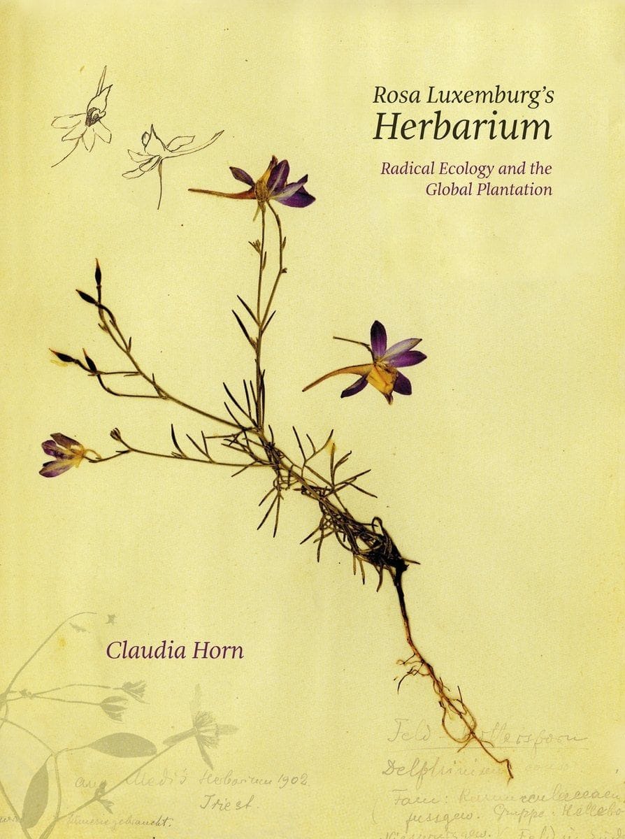 Rosa Luxemburg's Herbarium by Claudia Horn