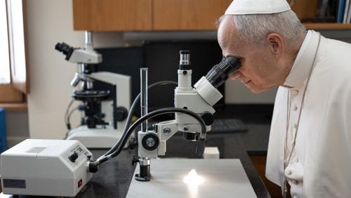 This photo of Pope Leo at the Vatican Observatory
