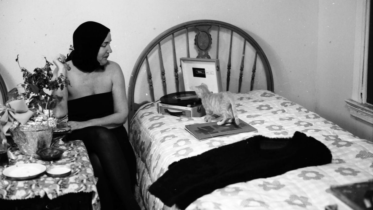 grey gardens (1975)