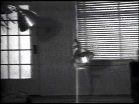 randy's sick (william wegman)