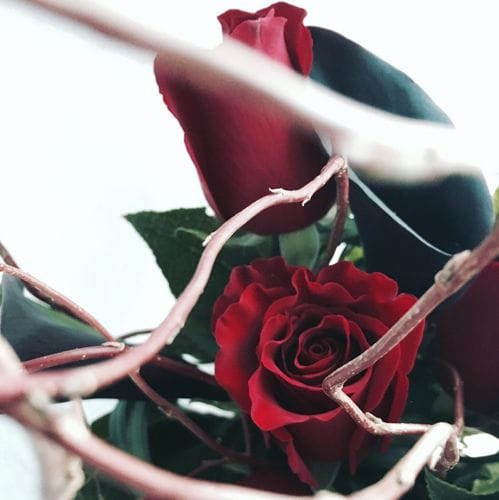Floral Drama