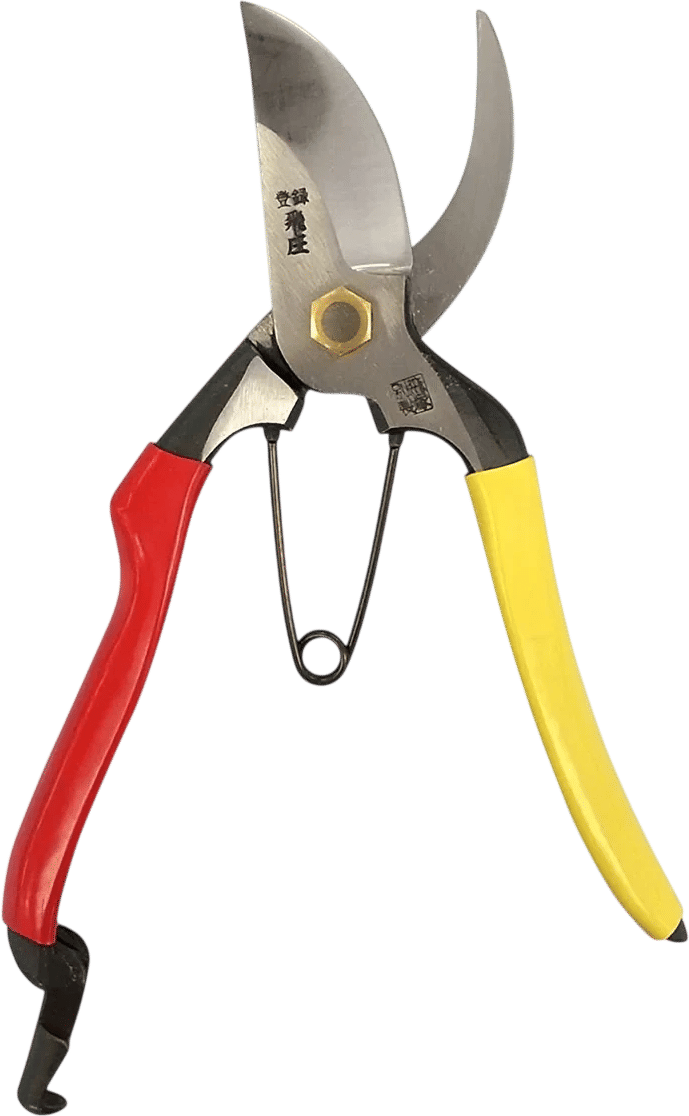 The best Japanese Shears