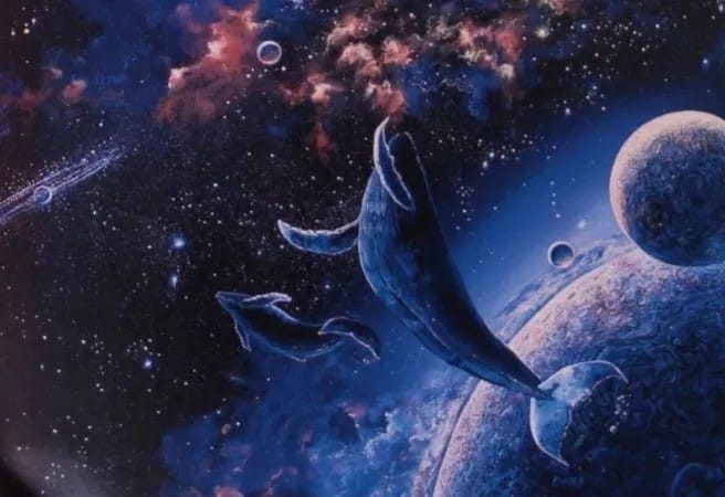 Space Whales and the Luminous Expanse