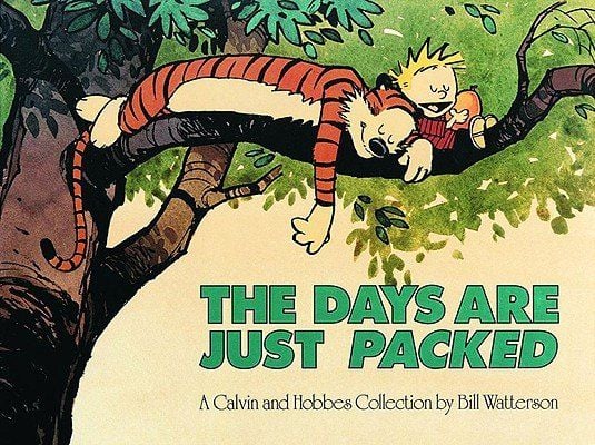 Calvin and Hobbes The Days Are Just Packed by Bill Watterson