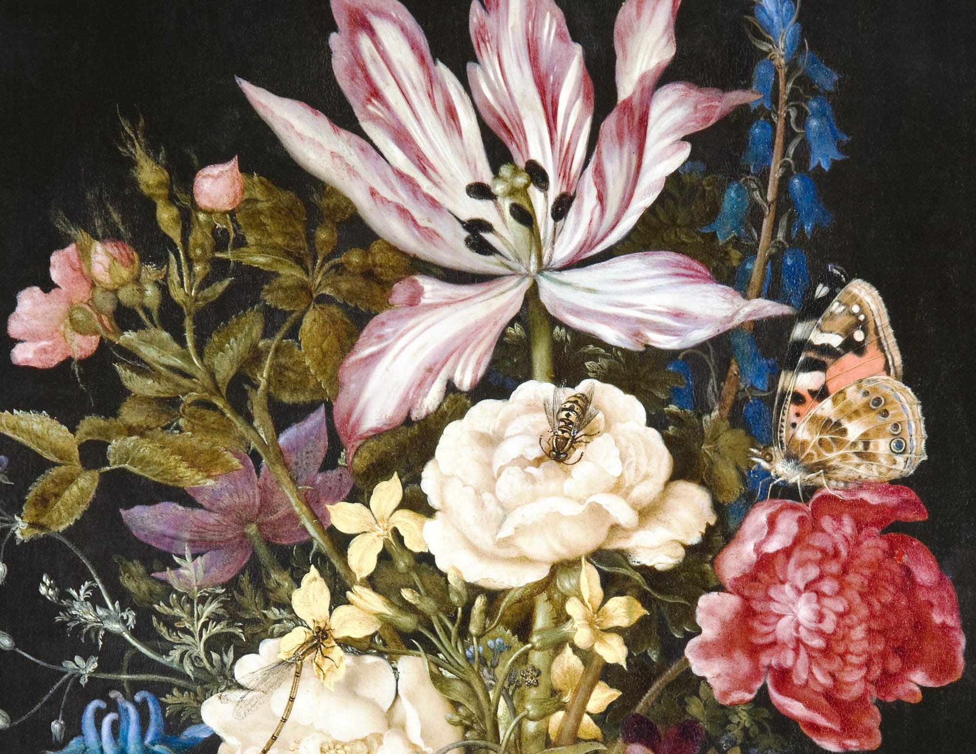 In Bloom – Art & Botany Exhibition