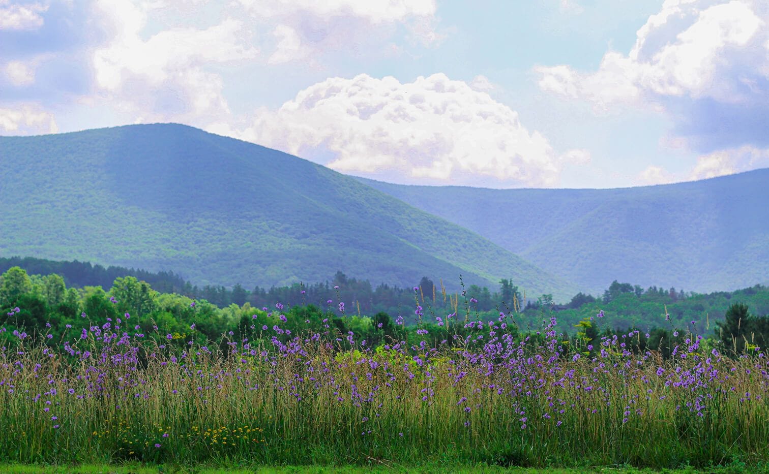 The Berkshires