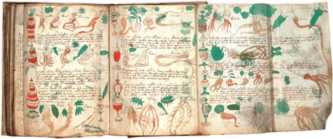 The Voynich Manuscript