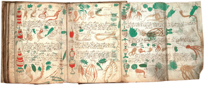 The Voynich Manuscript