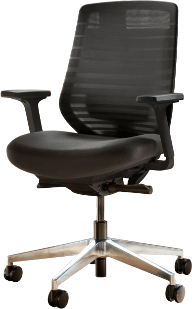 Branch Ergonomic Office Chair ๐