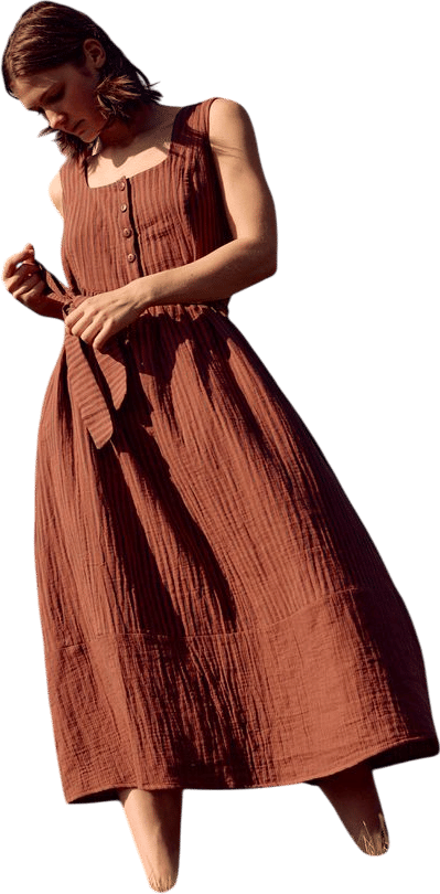 Sadie Dress in Brown Stripe