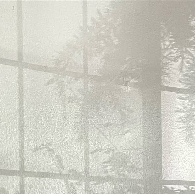 Wall shadows as art