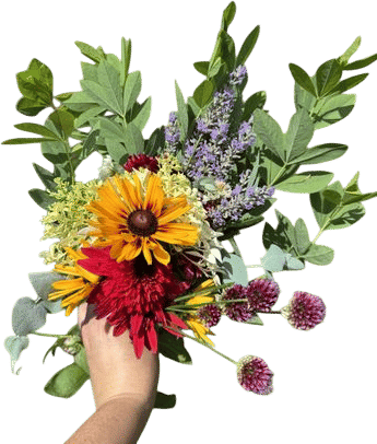 Bringing flowers to your neighbors