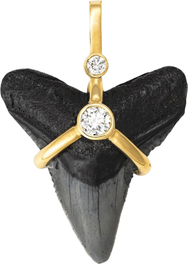 Oscuro Shark Tooth 14k Gold Diamond Necklace