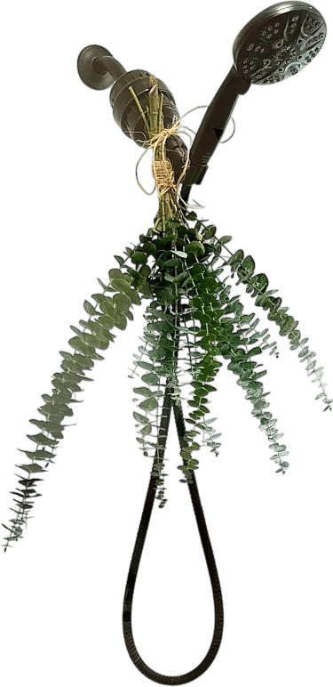 Fresh Eucalyptus