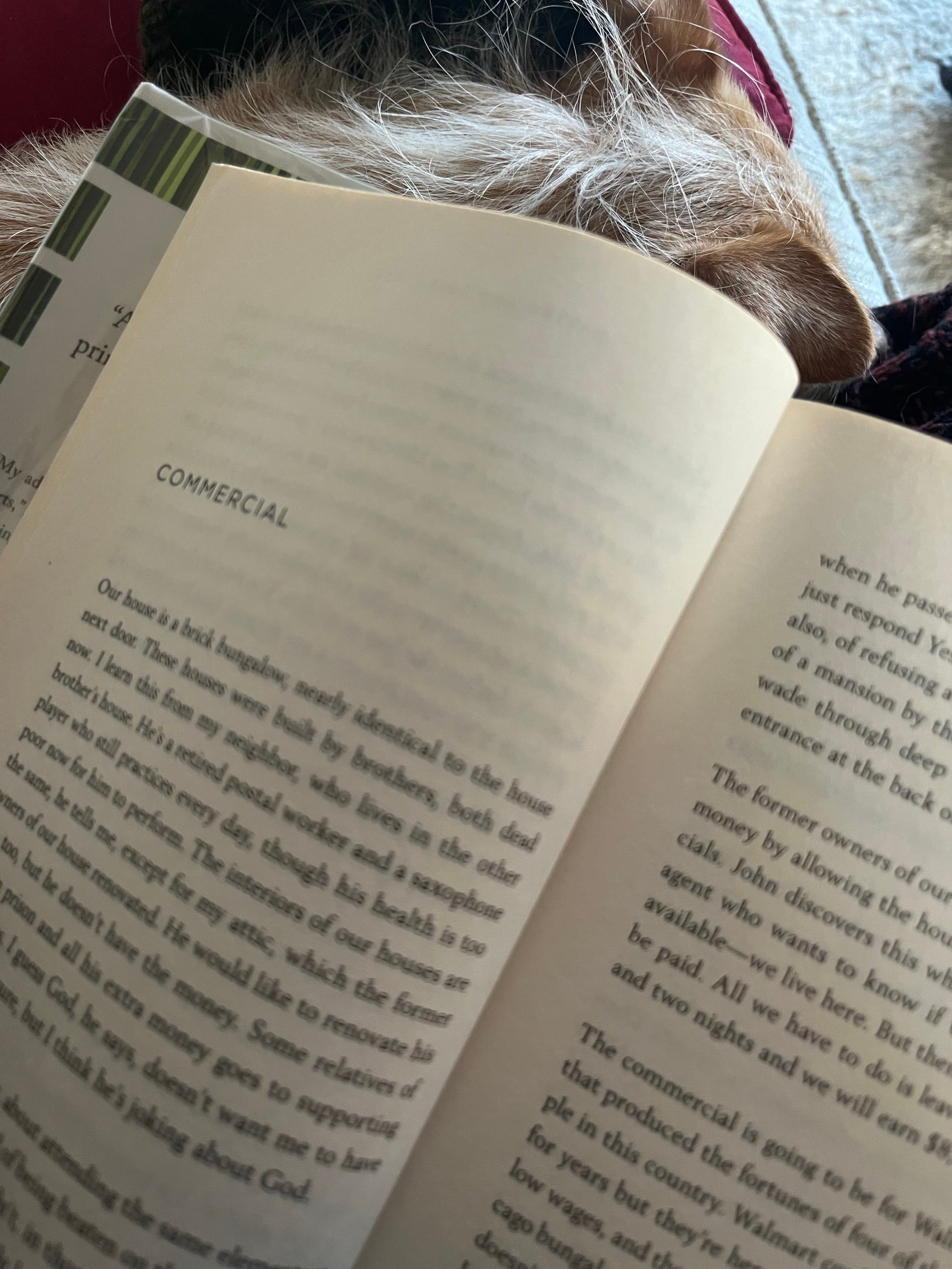 Reading with the dog on a Sunday morning