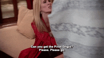 Real Housewives of NY Season 1-6