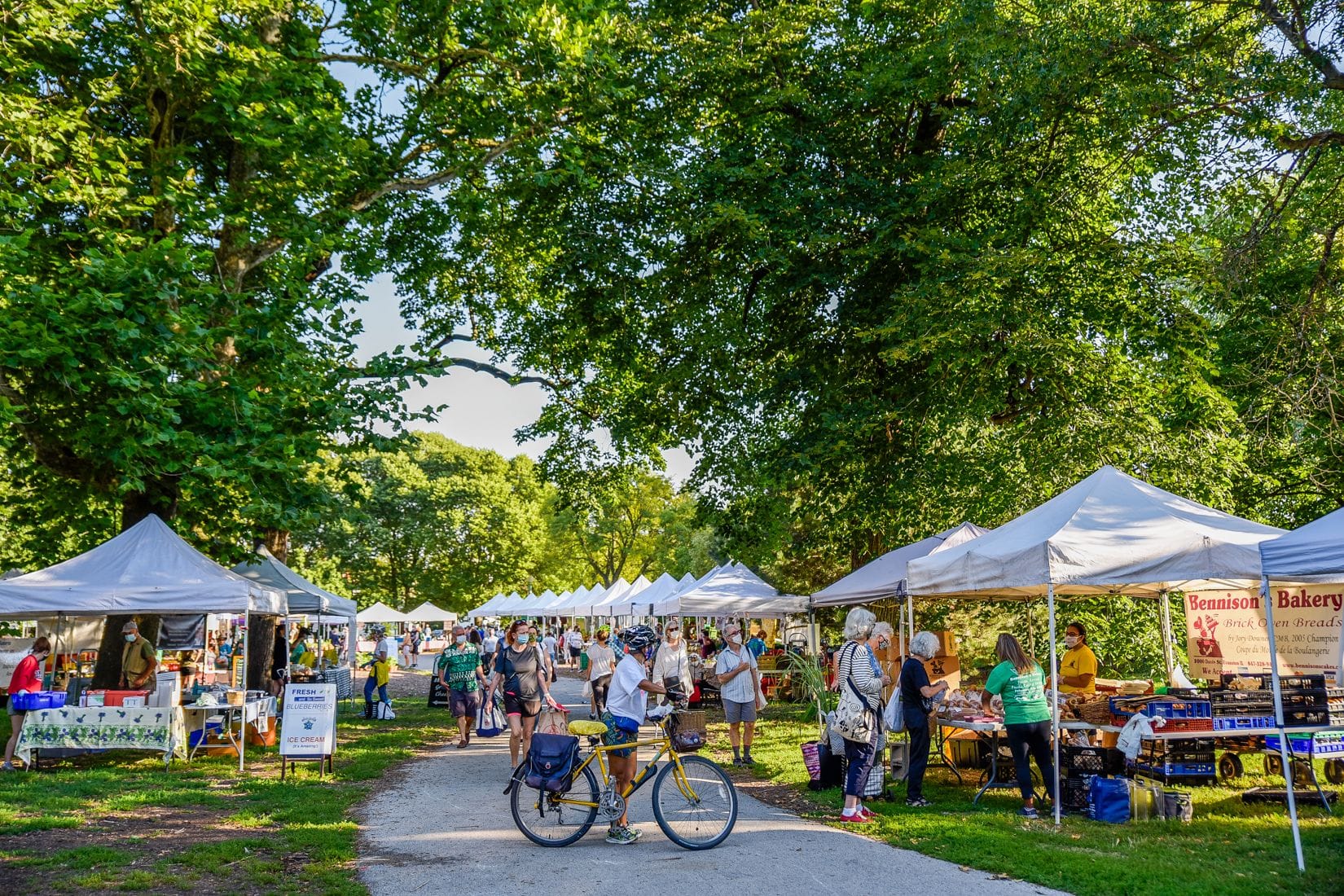 lincoln park farmers market