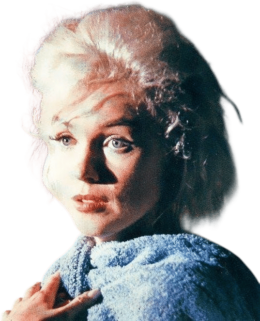 The Other Marilyn