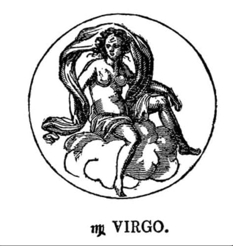 virgo sun, capricorn moon, virgo rising!