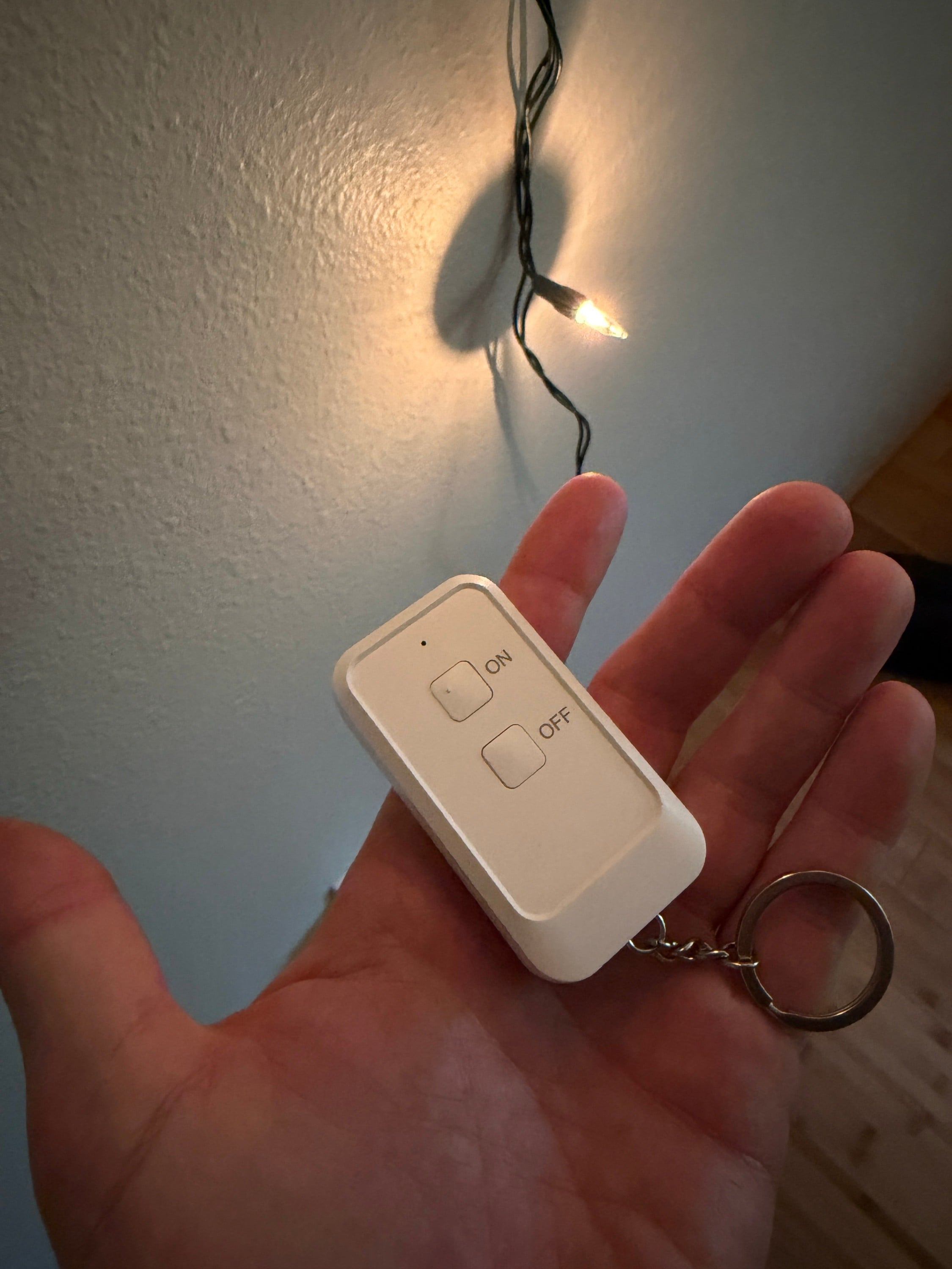 Remote switch outlet plug