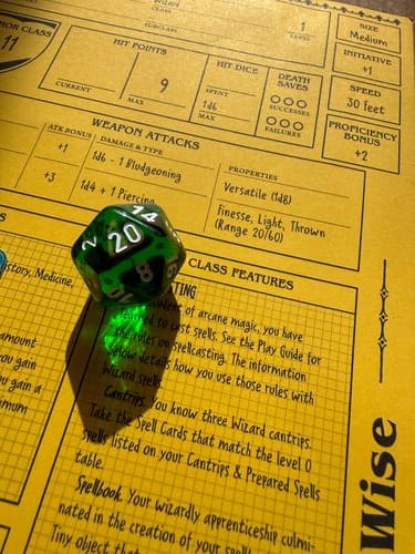 Roll for Initiative