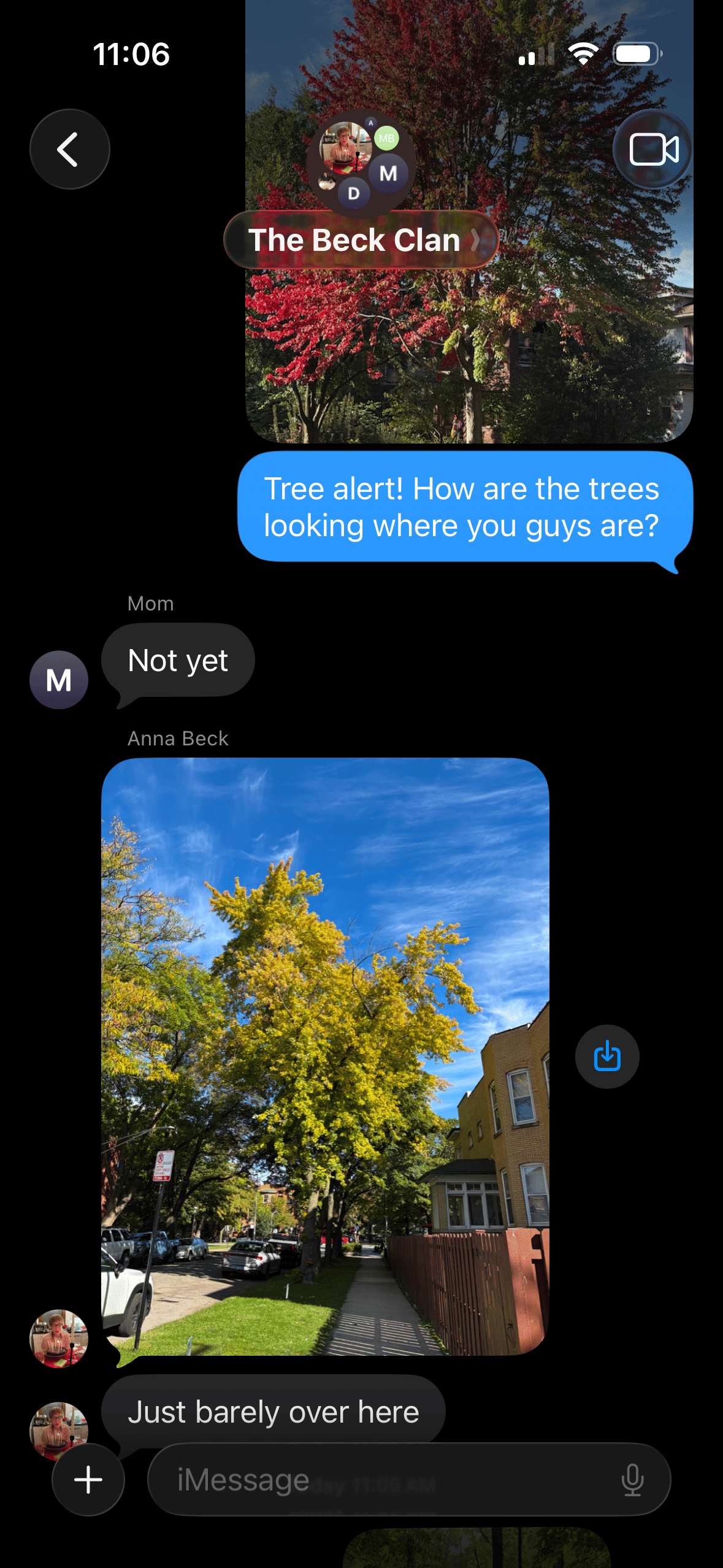 Menacing your family group chat with your favorite trees