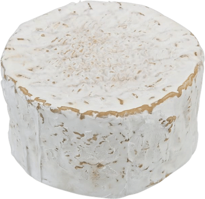 Mt Tam Cheese