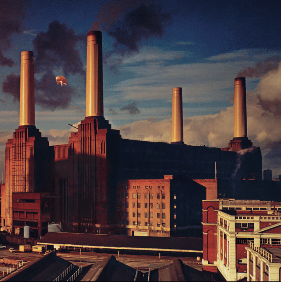 dogs - pink floyd