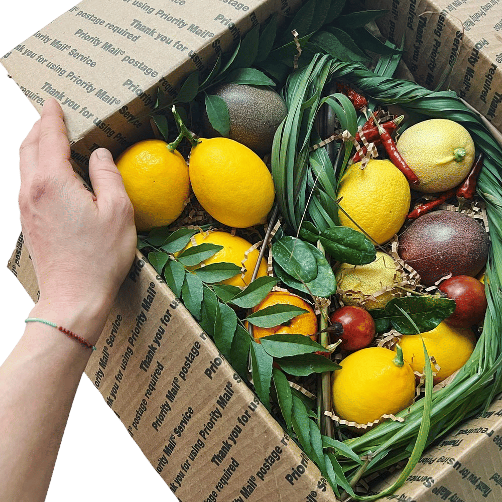 Julia's guide on mail-order California Citrus