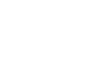 Raw Tools South