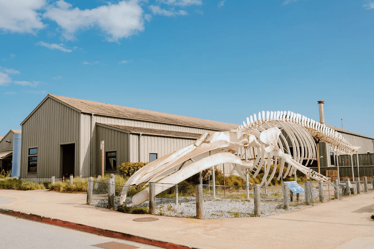 Seymour Marine Discovery Center