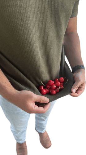 harvesting neighborhood fruit trees