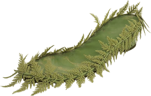 Members-Only Recommendation