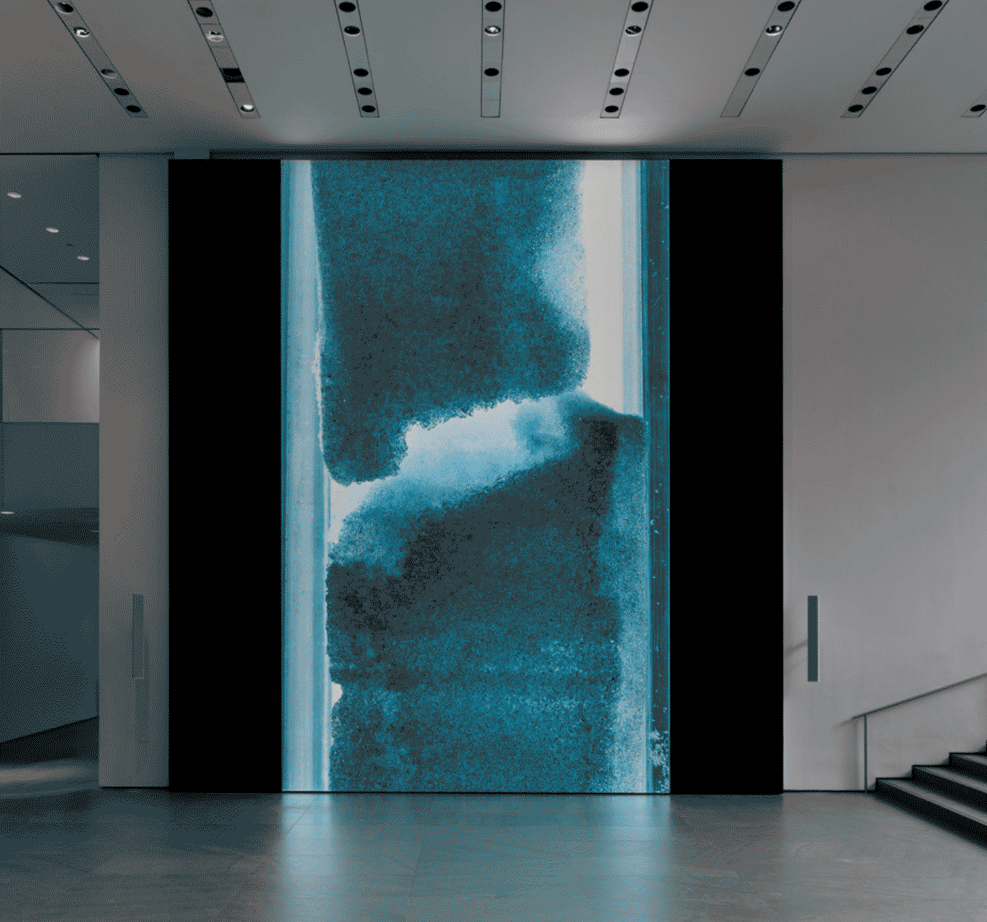 Peggy Weil at MoMA