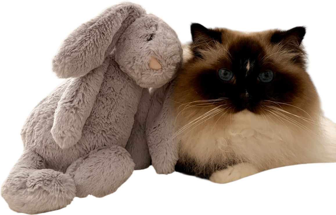 Jellycat Bashful Silver Bunny