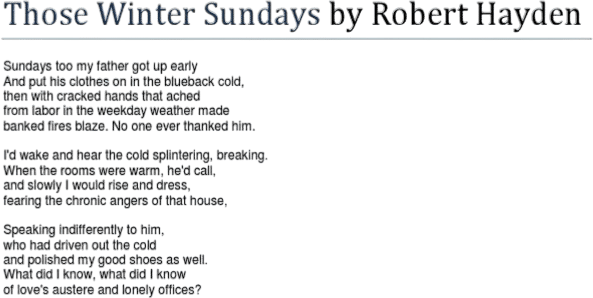 Those Winter Sundays by Robert Hayden