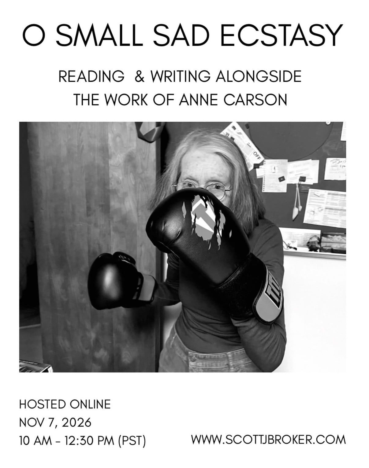 For fans of Anne Carson