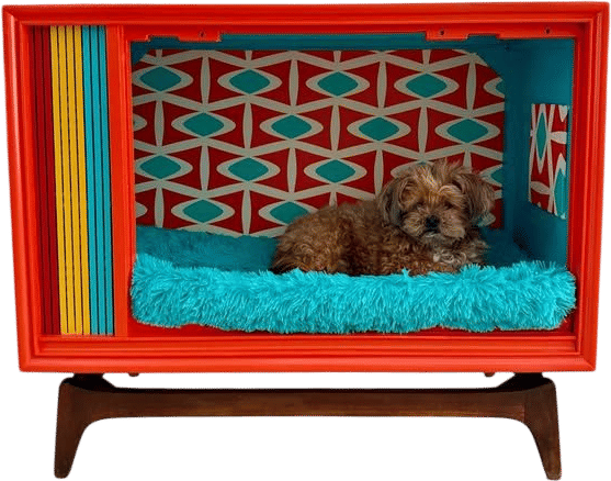 Custom Mid Century Modern Atomic Pet Bed