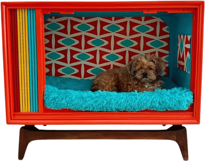 Custom Mid Century Modern Atomic Pet Bed