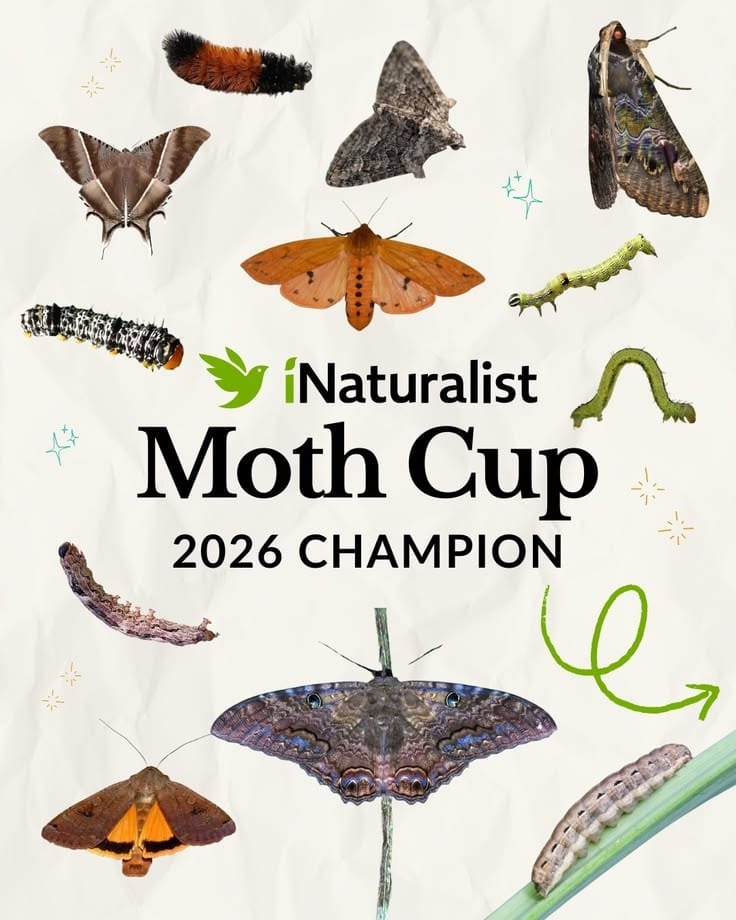 National Moth Week