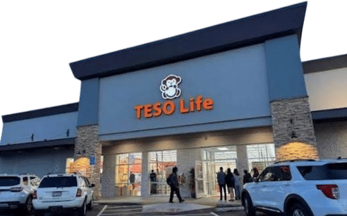 TESO Life