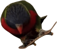 Buy Insurance from Matt Portnoy