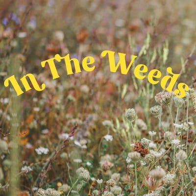 In The Weeds