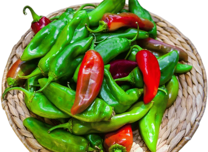 always wear gloves when cutting up a bunch of hot peppers