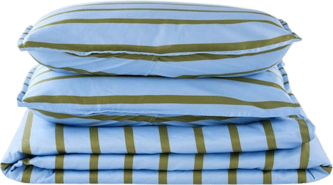 Blue & Khaki Cornflower Stripe Duvet Set, King