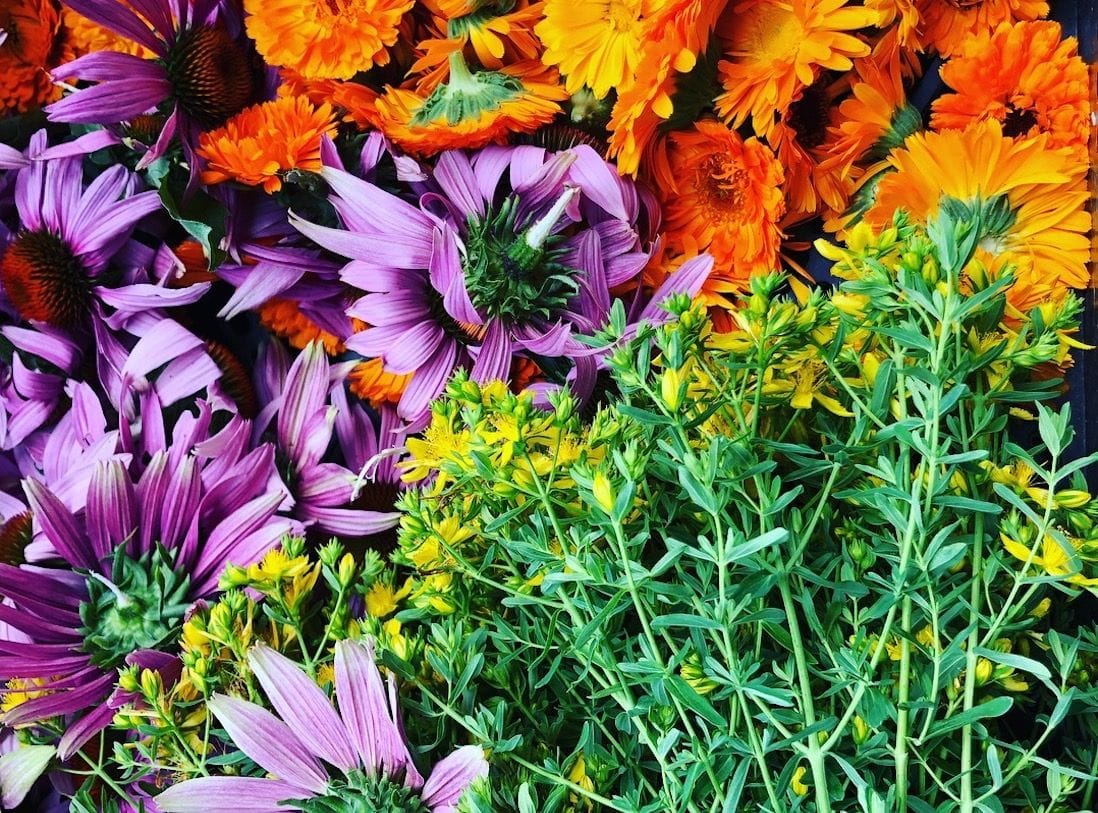 Foster Farms Botanicals