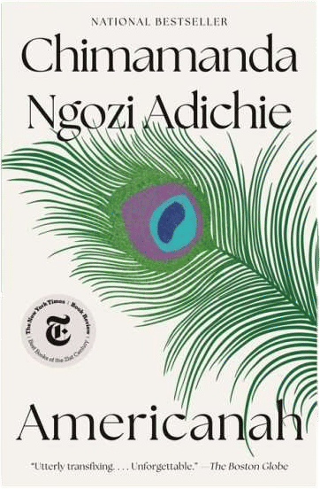 americanah chimamanda ngozi adichie