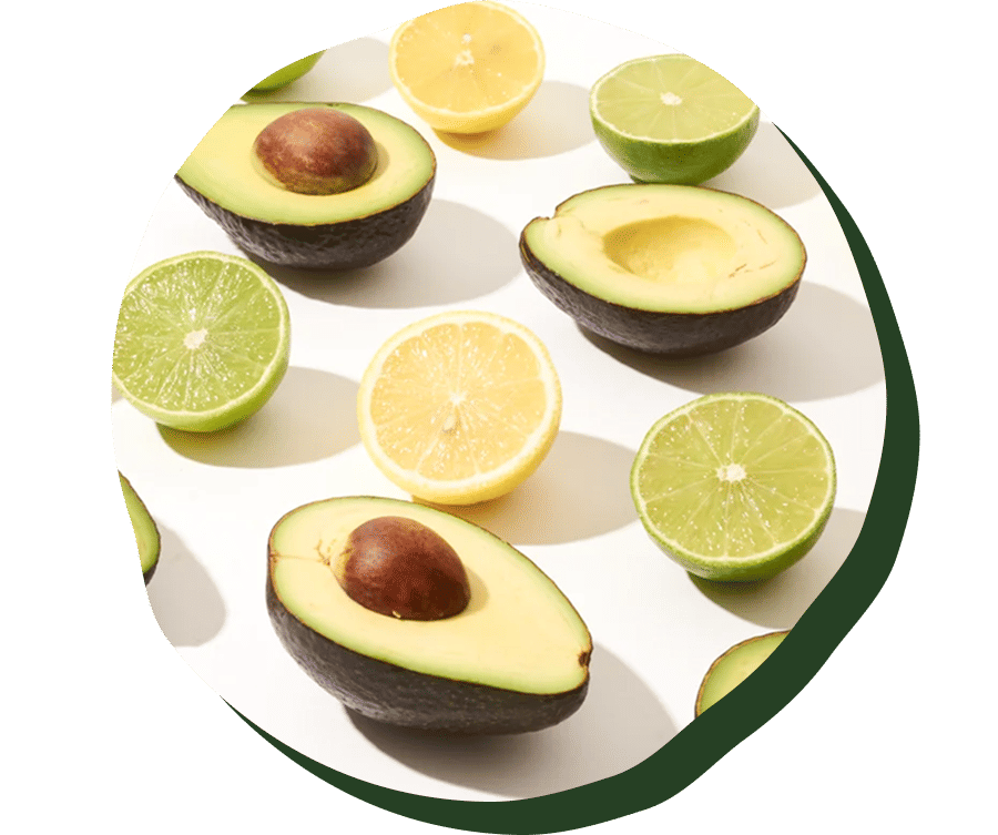 Davocadoguy Avocados