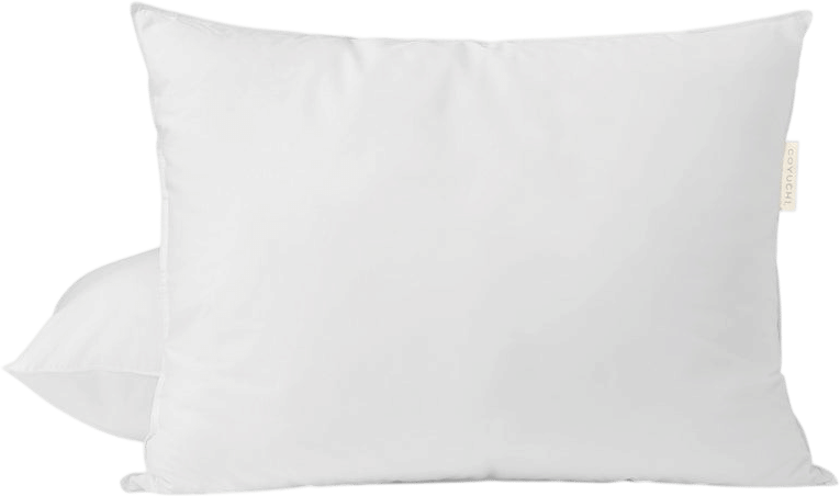 Coyuchi Down Pillow